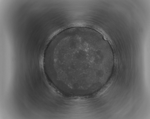 X0000111520434200907211227
