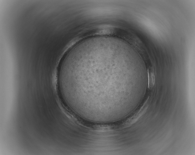 X0000111520435200907211227