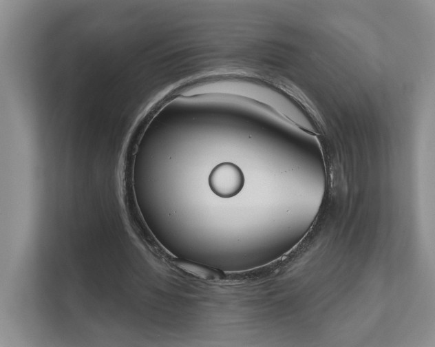 X0000111520436200907211227