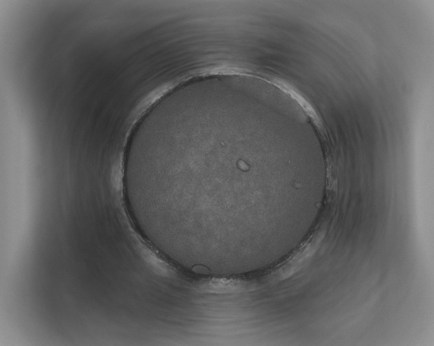 X0000111520437200907211227