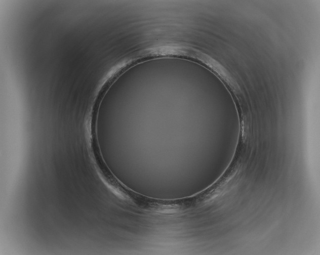 X0000111520438200907211227