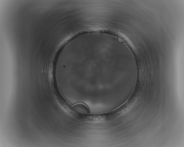 X0000111520443200907211227
