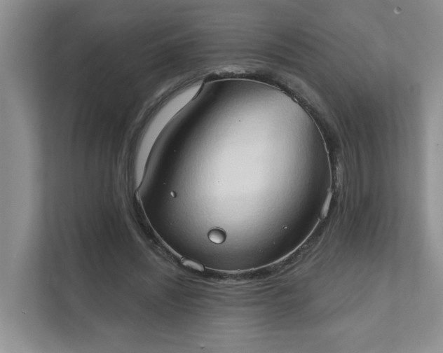 X0000111520444200907211227