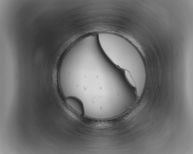 X0000111520445200907211227