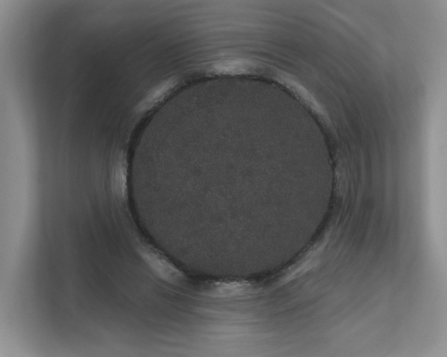 X0000111520446200907211227