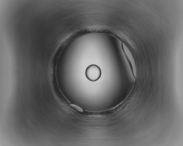 X0000111520448200907211227