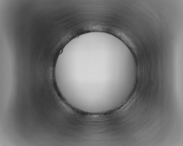 X0000111520449200907211227