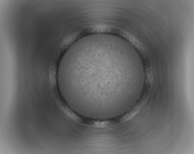 X0000111520450200907211227