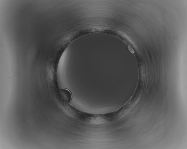 X0000111520451200907211227