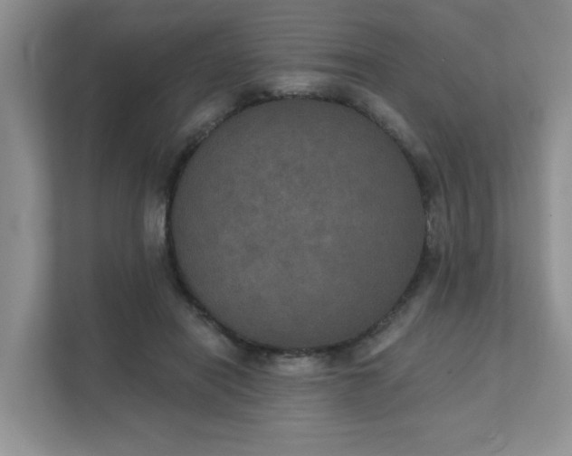 X0000111520454200907211227