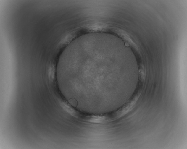 X0000111520458200907211227