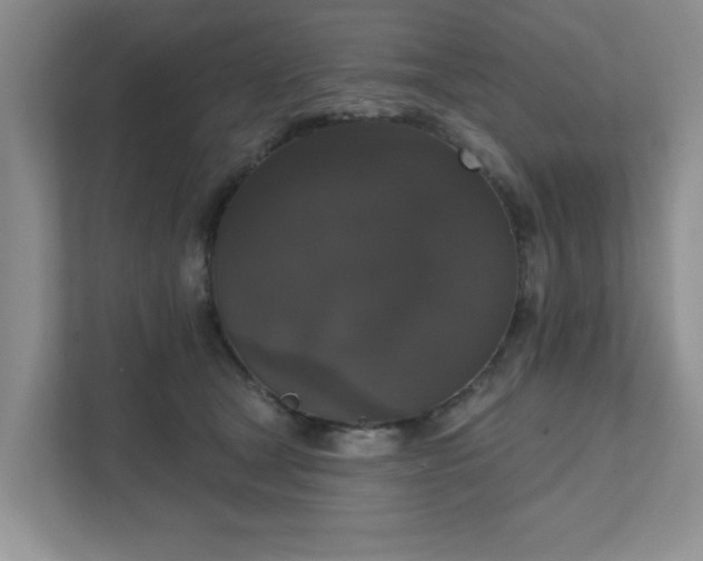 X0000111520465200907211228