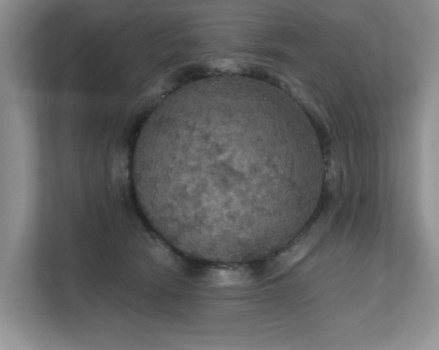 X0000111520466200907211228