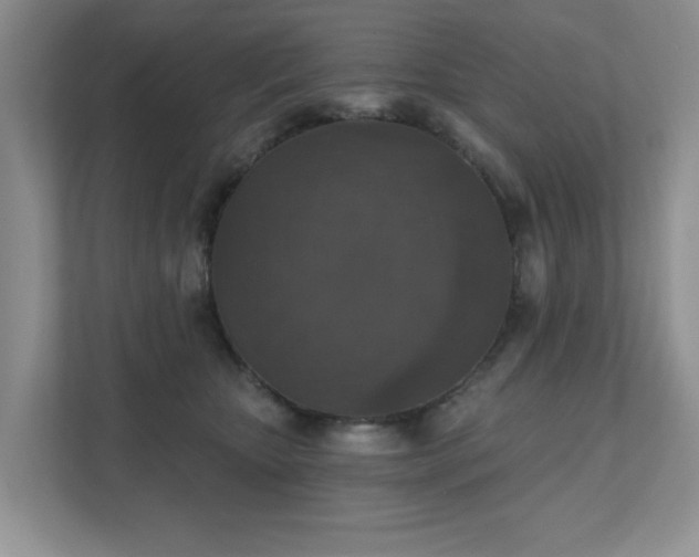 X0000111520467200907211228