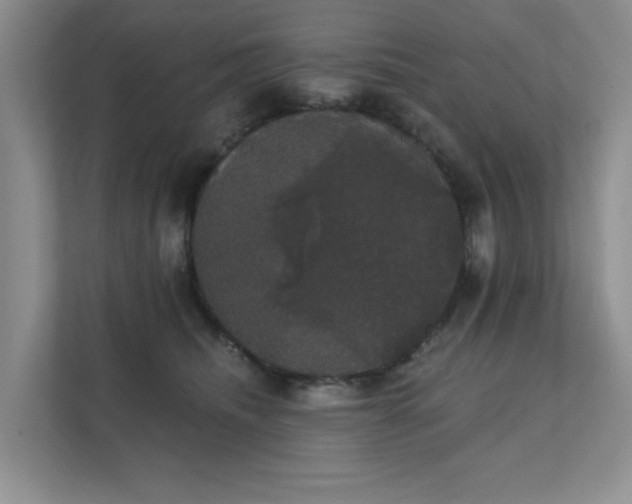 X0000111520468200907211228