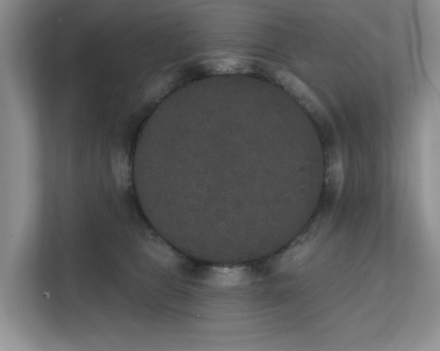 X0000111520469200907211228