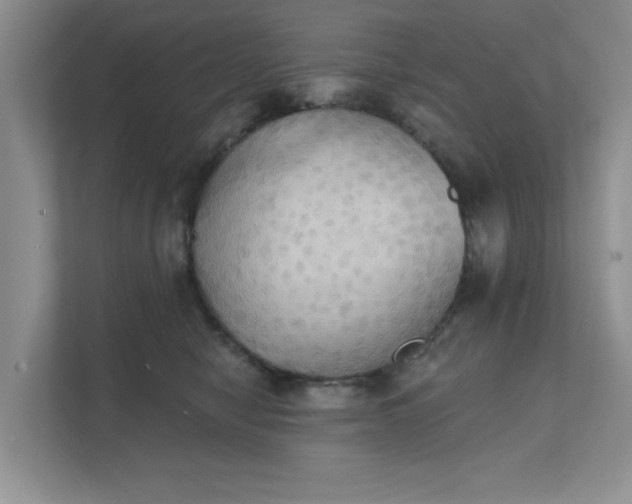 X0000111520470200907211228