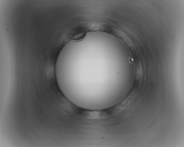 X0000111520473200907211228