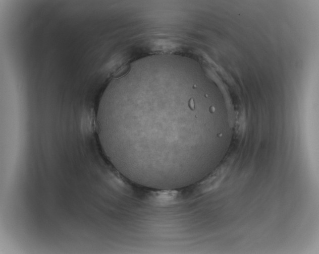 X0000111520474200907211228