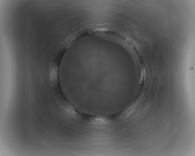 X0000111520475200907211228