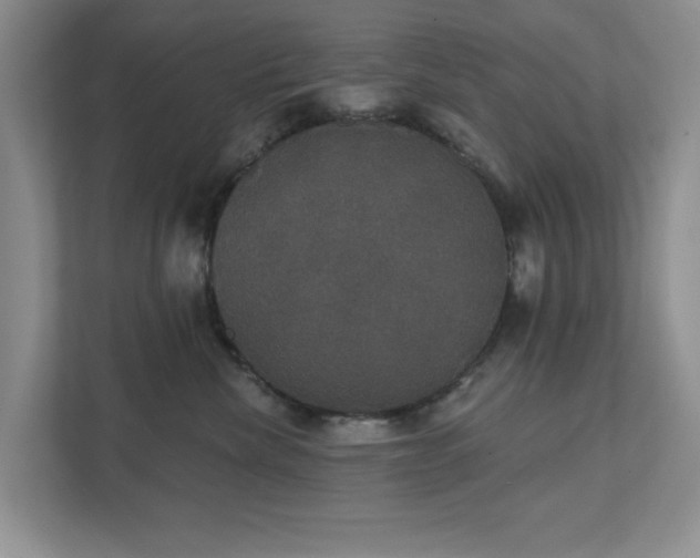 X0000111520476200907211228