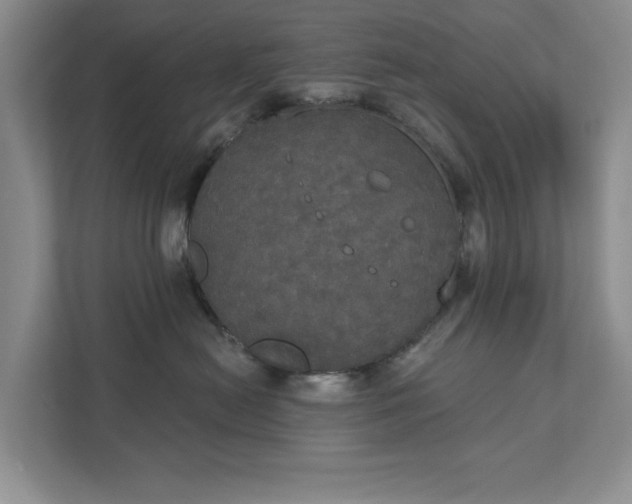 X0000111520478200907211228