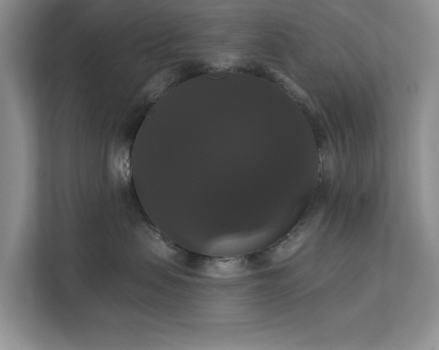 X0000111520479200907211228