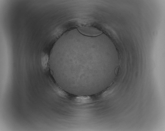 X0000111520480200907211228