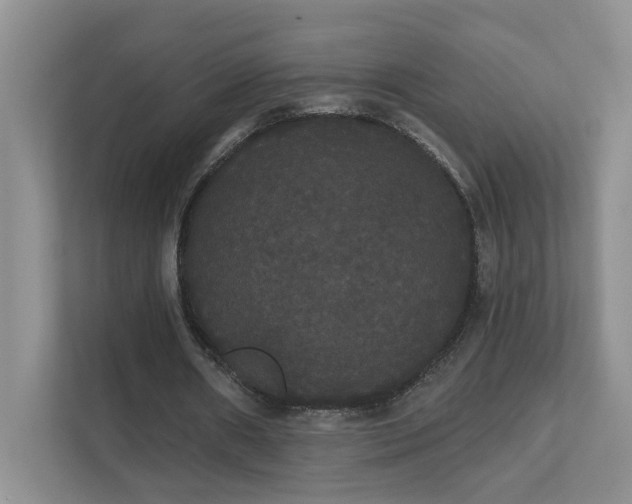 X0000111520482200907211227