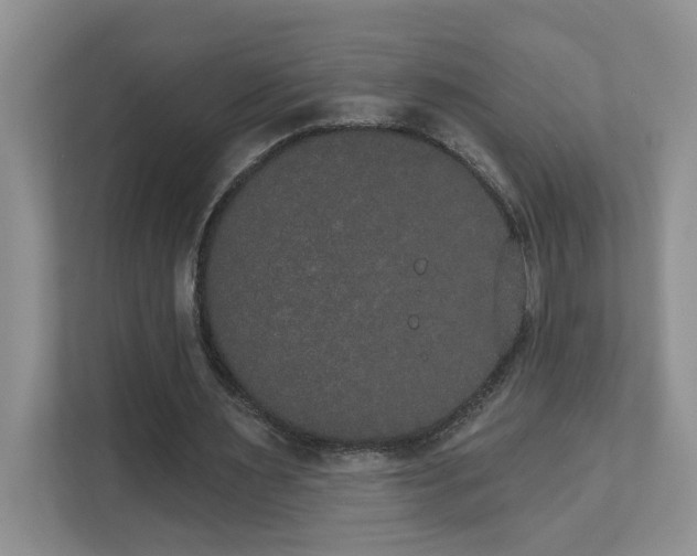 X0000111520483200907211227