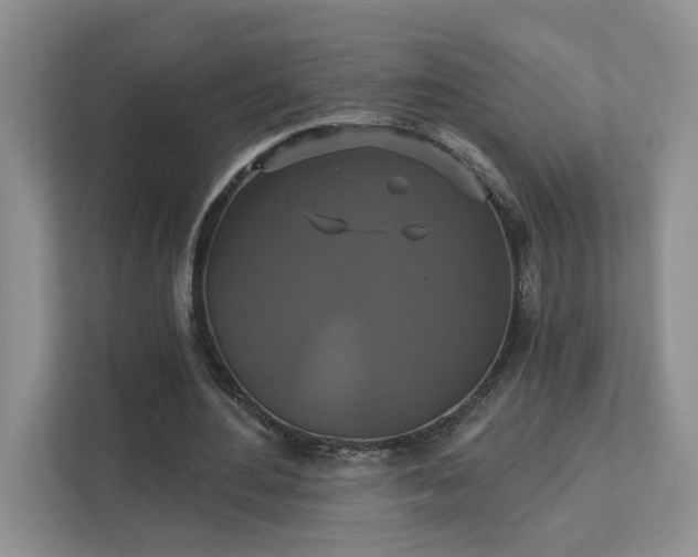 X0000111520484200907211227