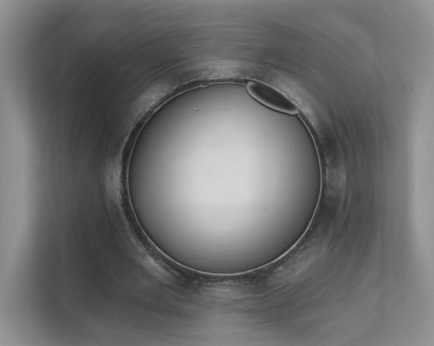 X0000111520485200907211227