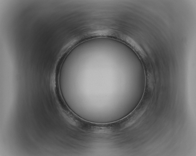 X0000111520486200907211227