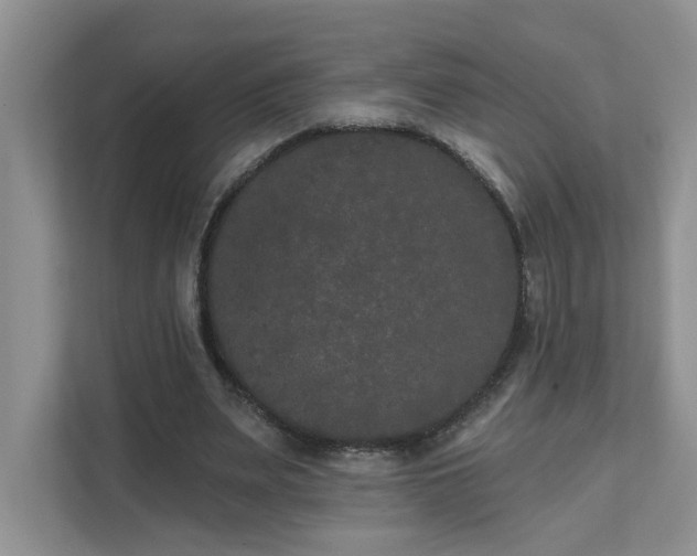 X0000111520487200907211227