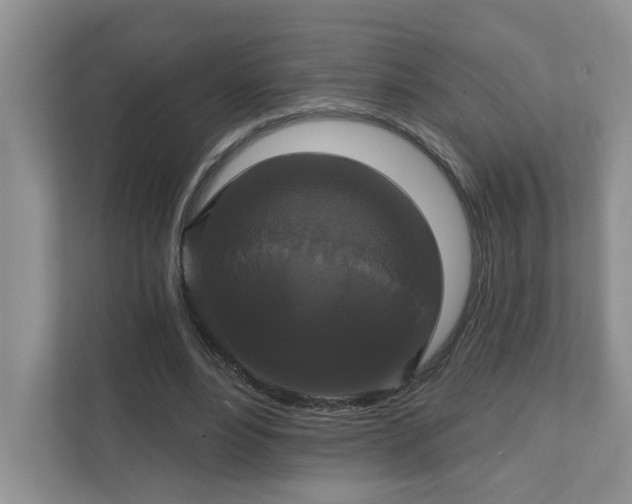 X0000111520488200907211227