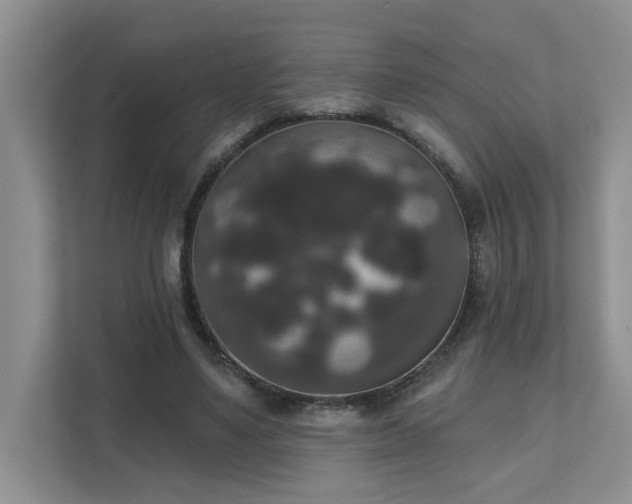 X0000111520491200907211227