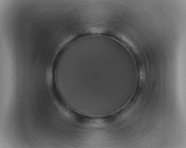 X0000111520492200907211227