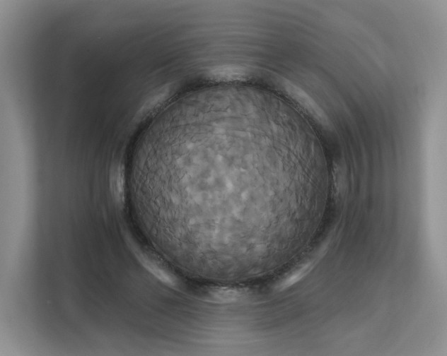 X0000111520494200907211227