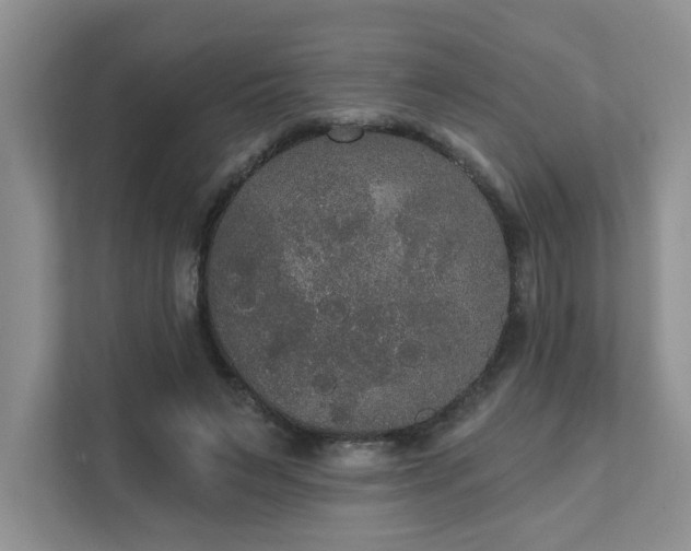 X0000111520495200907211227