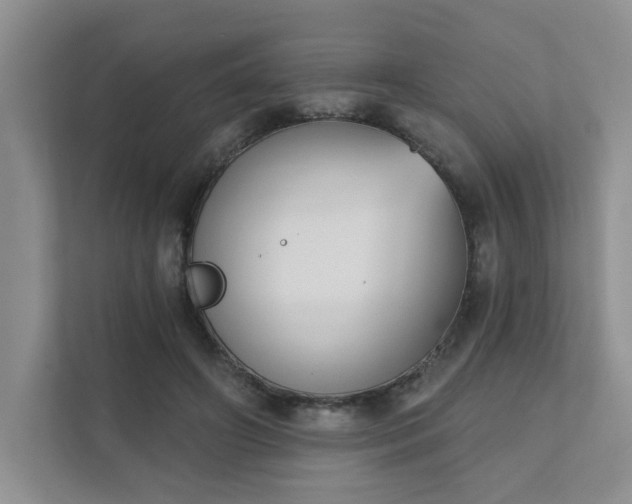 X0000111520498200907211227