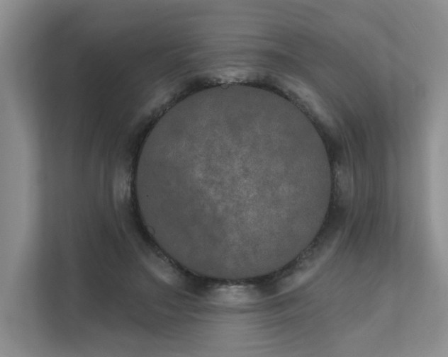 X0000111520499200907211227