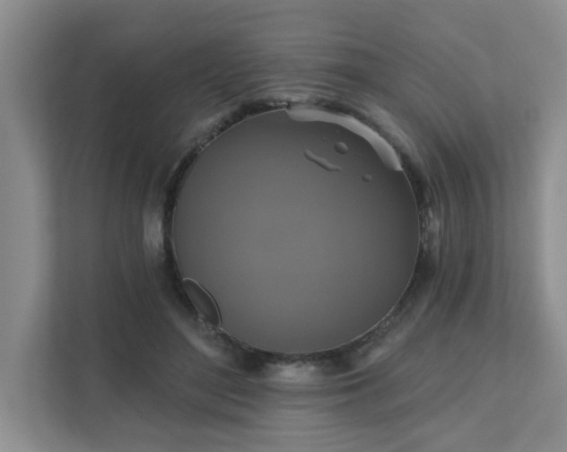 X0000111520500200907211227