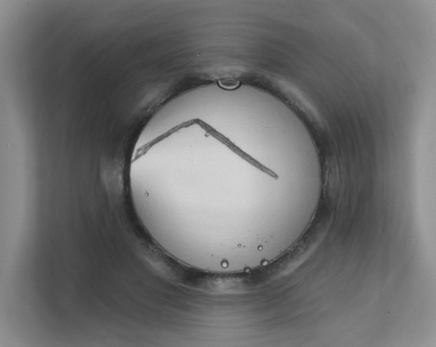 X0000111520501200907211227