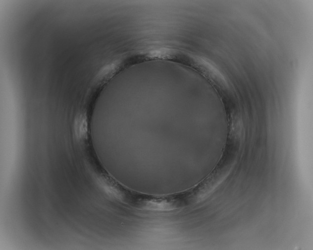 X0000111520502200907211227