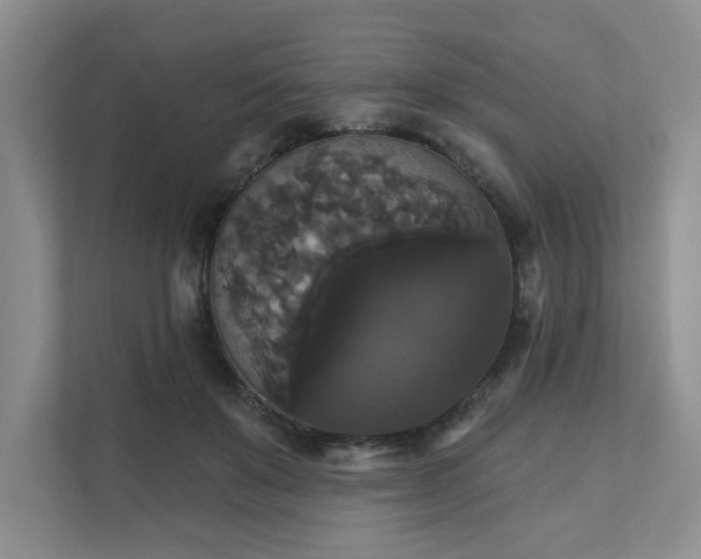 X0000111520503200907211227