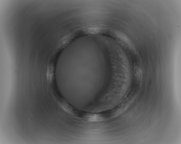 X0000111520507200907211227