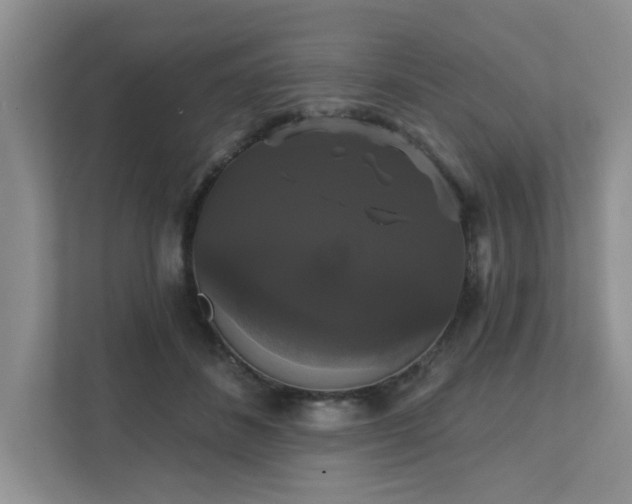 X0000111520508200907211227