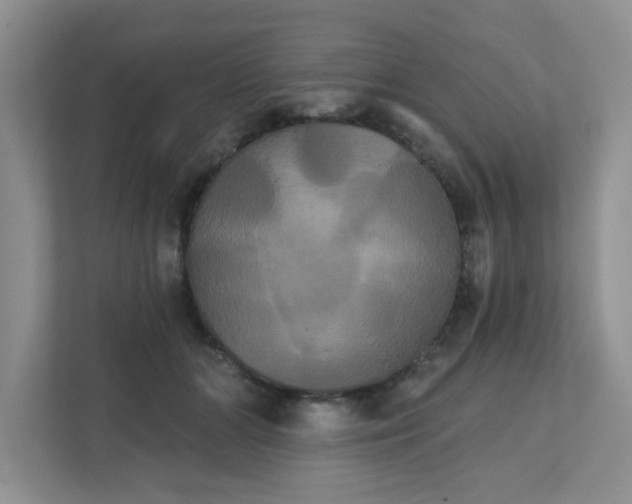 X0000111520510200907211227