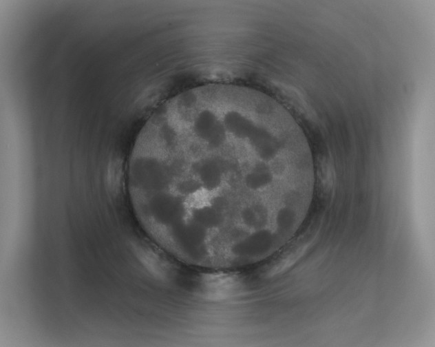 X0000111520511200907211227