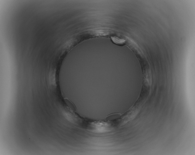 X0000111520512200907211227